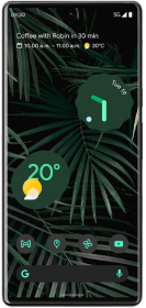 Google Pixel 6 Pro