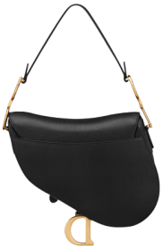 Geantă Dior Saddle
