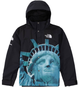 Veste Supreme X The North Face Statue de la Liberté