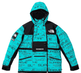 Veste Supreme X The North Face