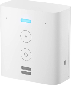 Echo Flex Voice Control