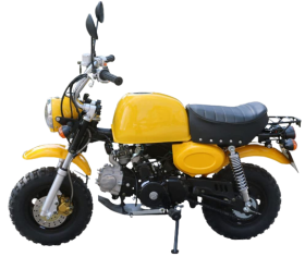Mini moto a gas per adulti e adolescenti