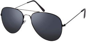 Pilot Style Sunglasses