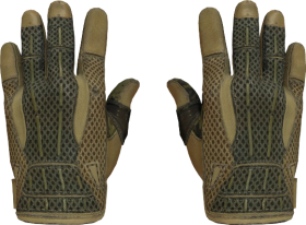 Sport Gloves Arid