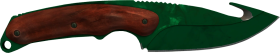 Gut Knife Gamma Doppler