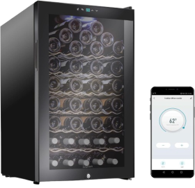 Bottle Compressor Wine Cooler