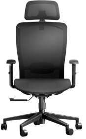 ErgoChair Pro Ergonomic Office Chair