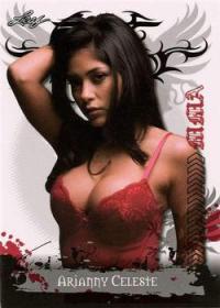 Arianny Celeste 2010 Leaf MMA #95 UFC MMA Card