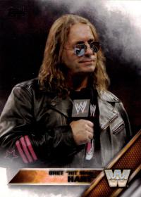 2016 Topps WWE #82 Bret Hit Man Hart