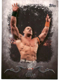 2016 Topps WWE Undisputed #16 John Cena