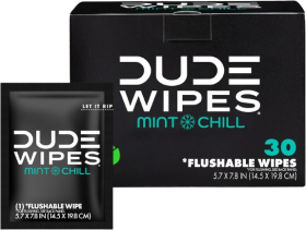 Dude Wipes On-The-Go Flushable Wipes