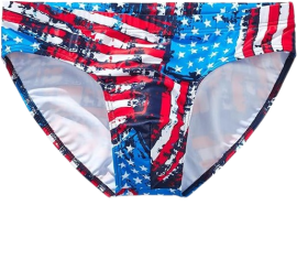 Men's Stripe Swim Briefs Retro Swimwear