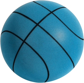 Silent Basketball Size 7