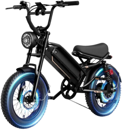 1500W Electric Bike with 48V Removable Battery