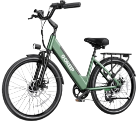 1000W Peak Electric Bike for Adults