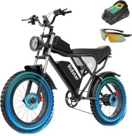 Q20 Electric Bike for Adults