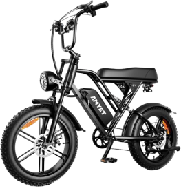 V9-G60 1500W Peak Fat Tire Dirt Bike