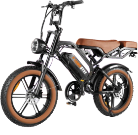 20-24'' Fat Tire Electric Bike