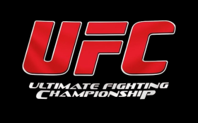 UFC Ultimate Fighting Champion Flag