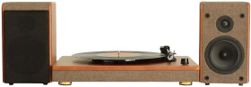 Vinyl Turntable with Speaker Combination Set