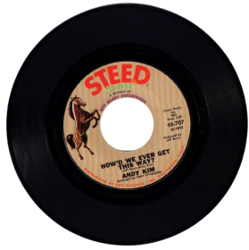 Preowned Andy Kim: How'd We Ever Get This Way? Vinyl Record