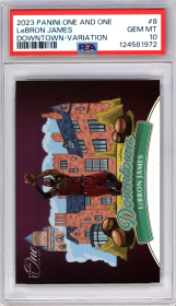 LeBron James #8 2023-24