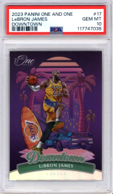 LeBron James #17 2023-24