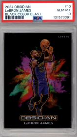 LeBron James #10 2024-25