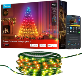 Govee Christmas Lights 2